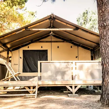 Campsite Parks Olva