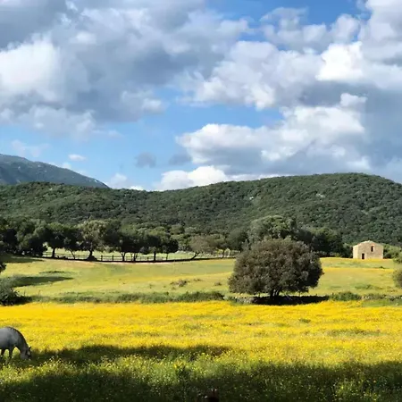Campsite Parks Olva Sartene (Corsica)