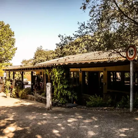 Campsite Parks Olva *
