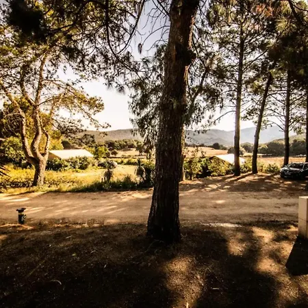 Campsite Parks Olva Sartene (Corsica)