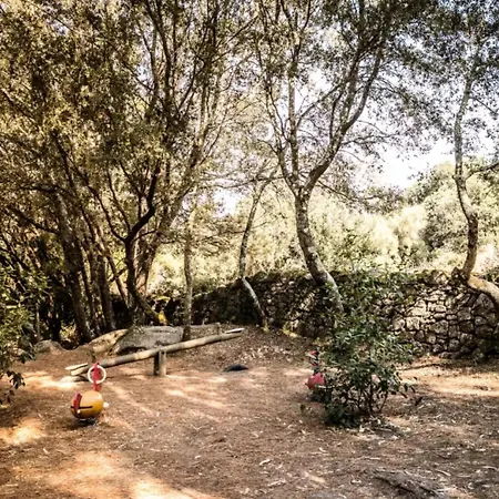 Parks Olva Campsite Sartene (Corsica)